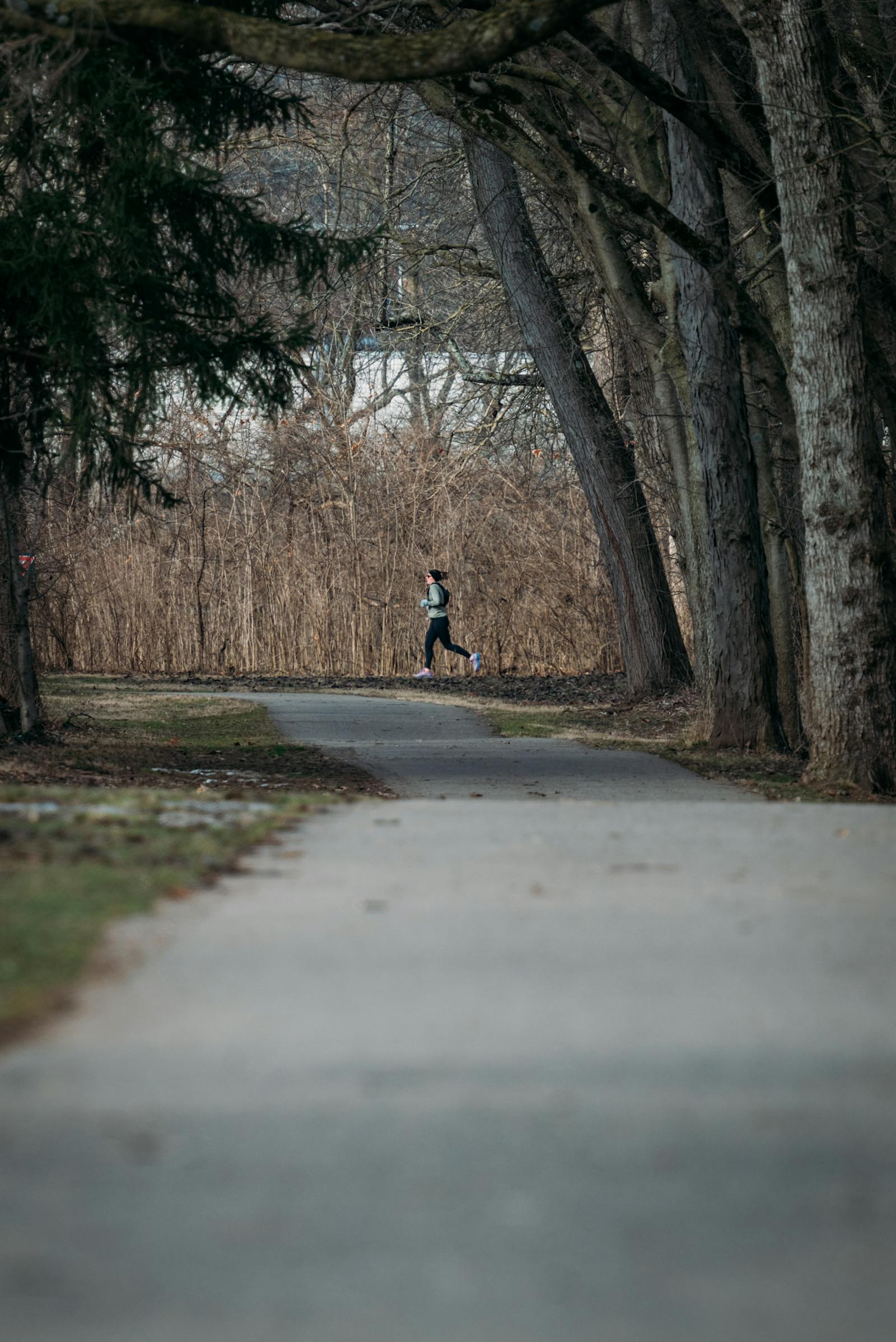 Runner moving through a quiet park path in daylight