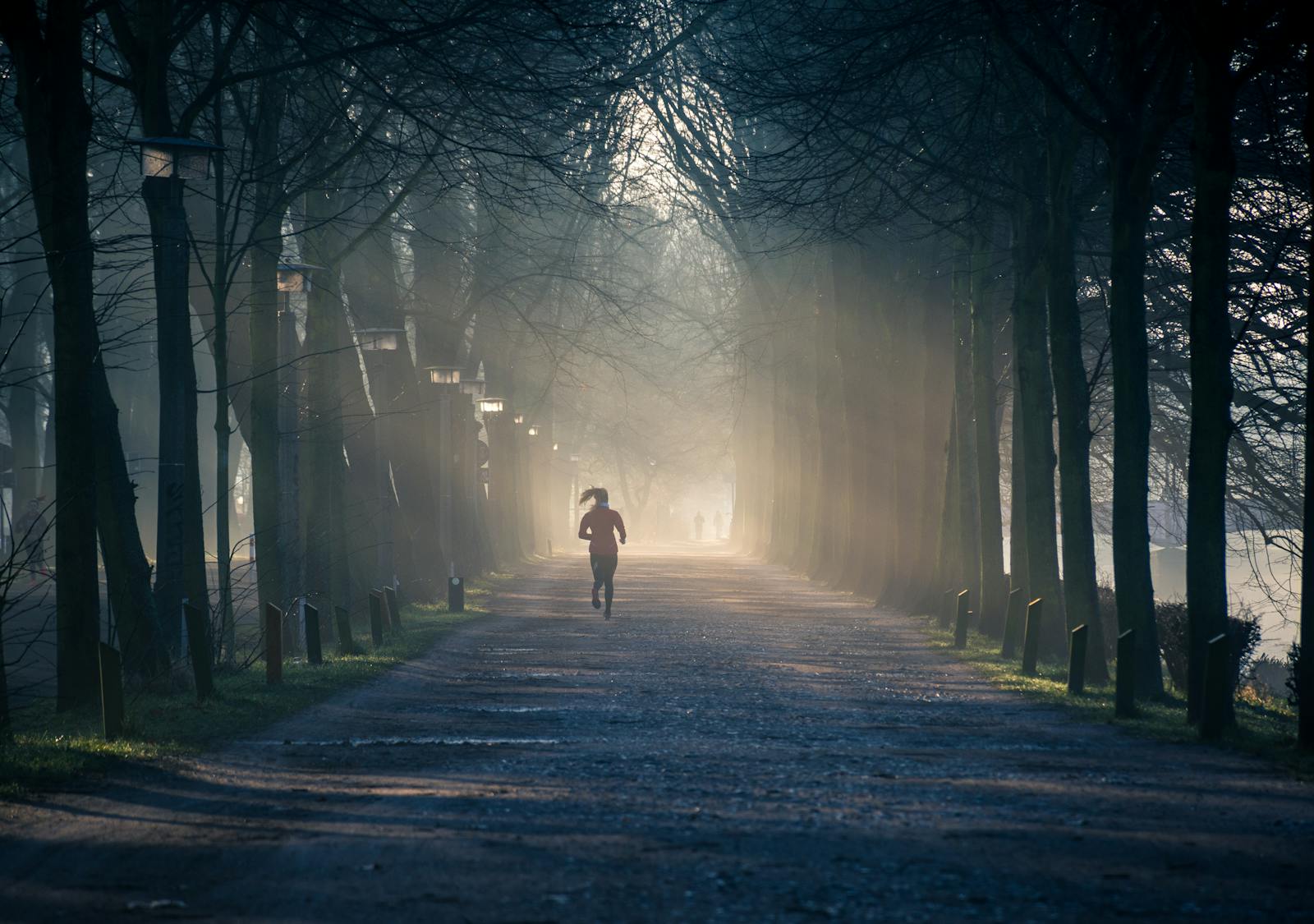 Runner moving along a tree-lined park path in soft morning light